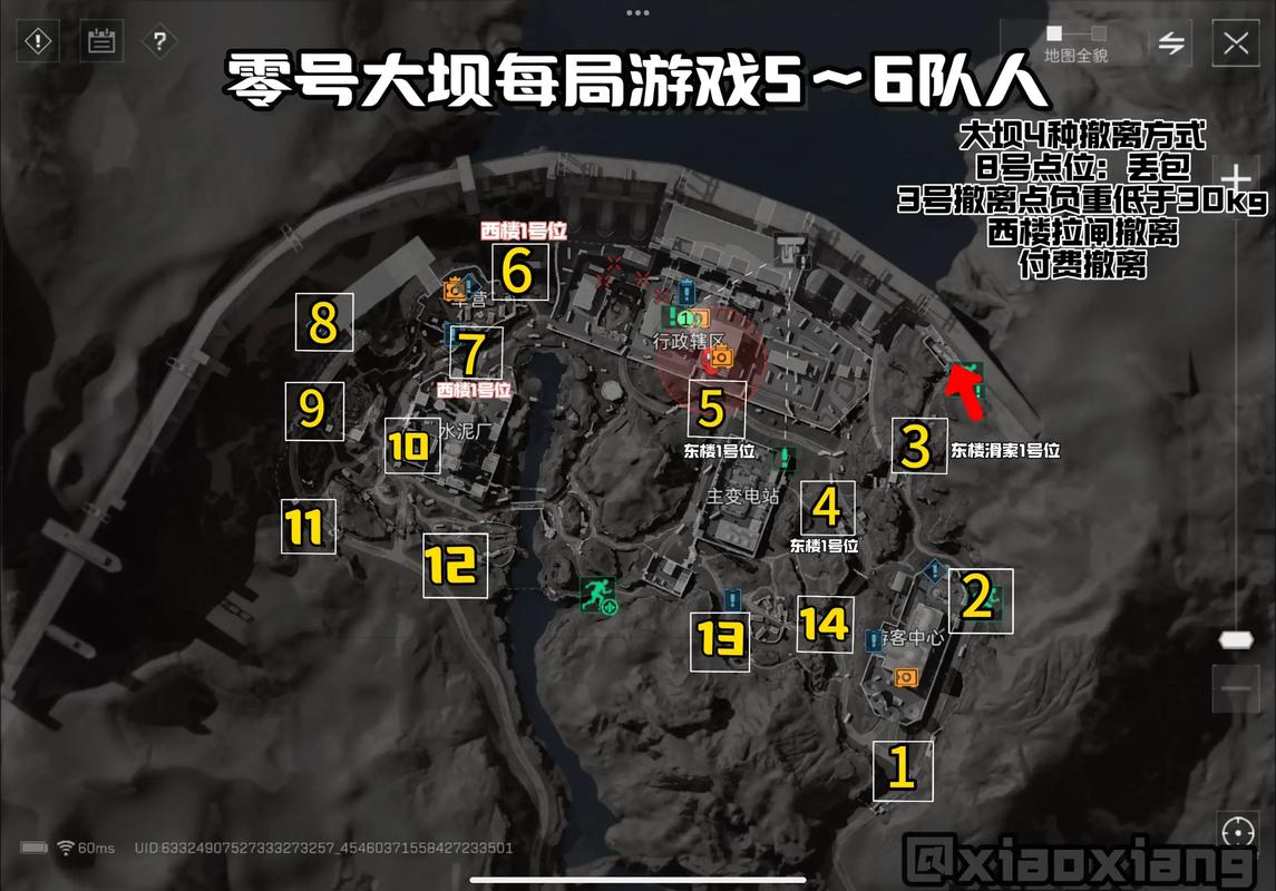 大国家队动